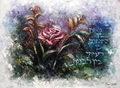 A Rose Amongst the Thorns