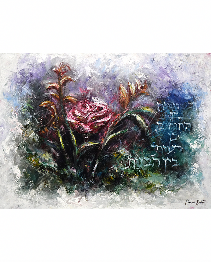 A Rose Amongst the Thorns